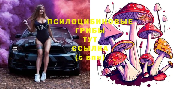 Альфа ПВП Алзамай