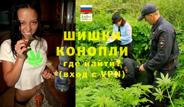 Альфа ПВП Алзамай