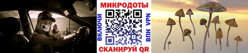 Купить  Починок  Псилоцибиновые грибы MAGIC MUSHROOMS 